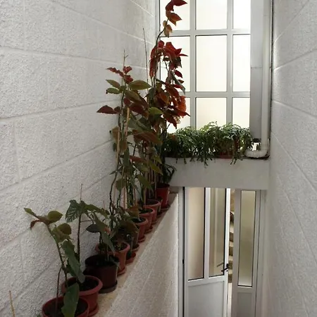 Apartments By The Sea Zuljana, Peljesac - 4577 Apartment